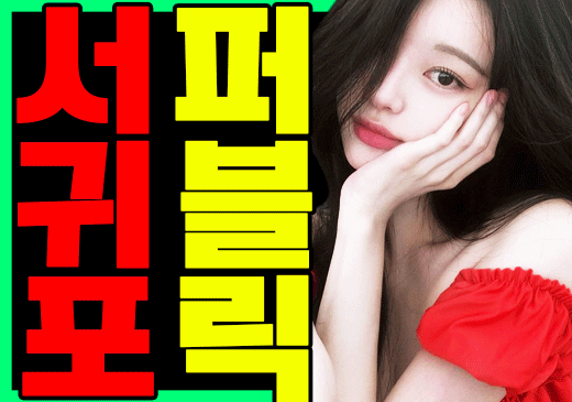 업체이미지